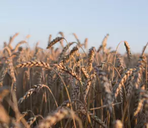 Toutes Les Formations Cdaf